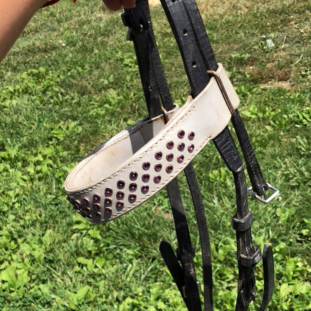 English show bridle set